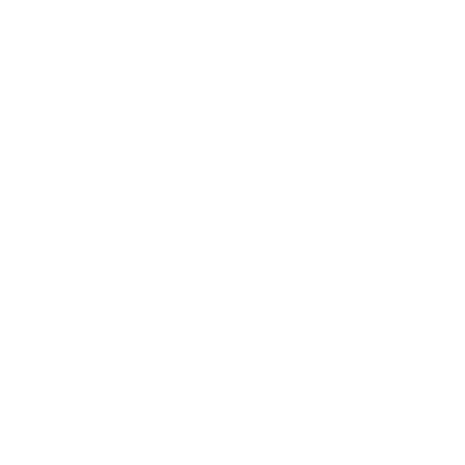 The Broadcast