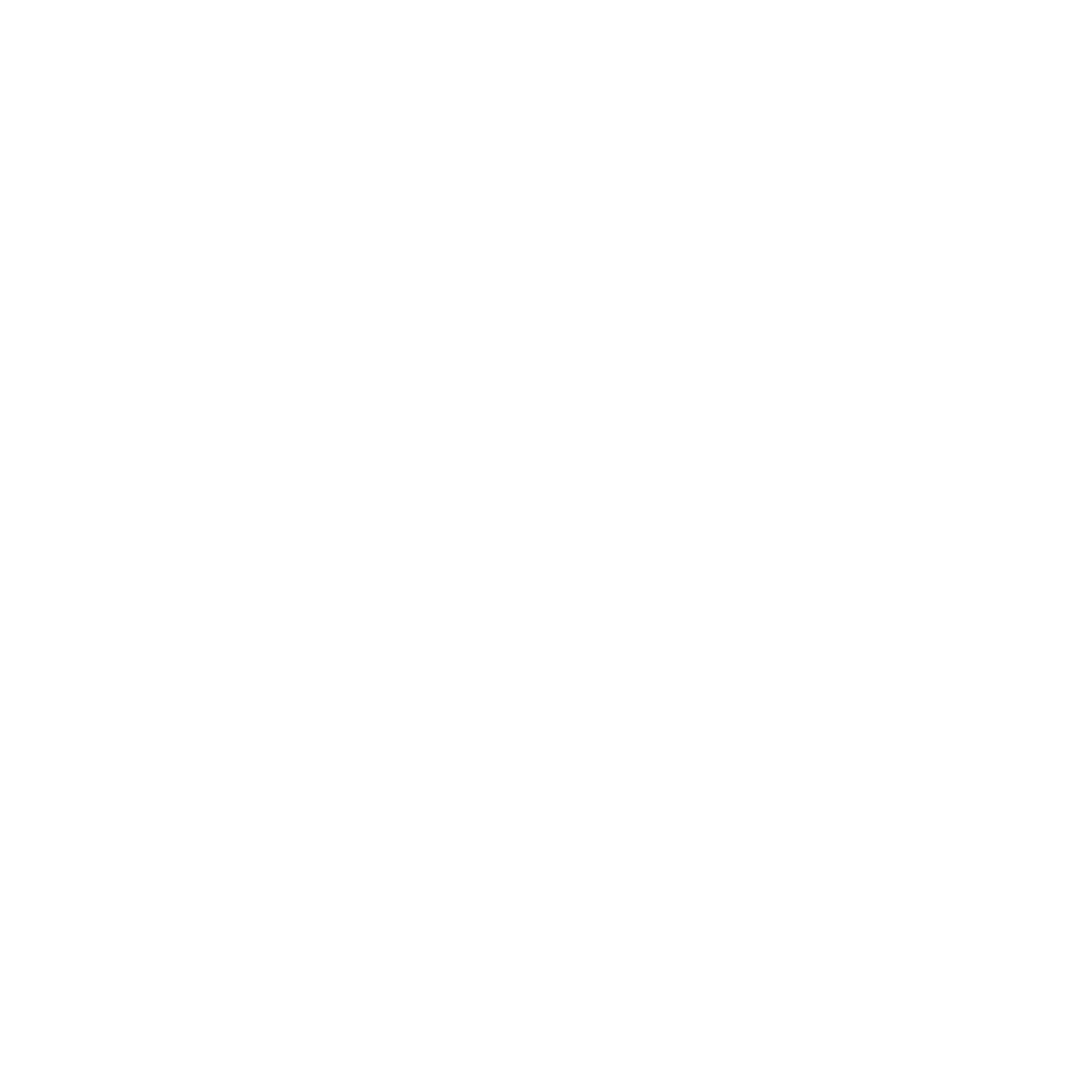 The Foundation